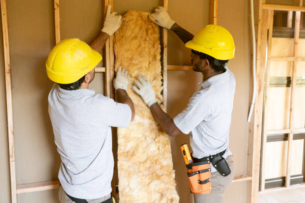 Best Insulation Replacement Services  in Centerburg, OH